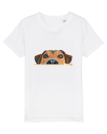 Curiosul White