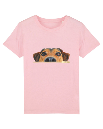 Curiosul Cotton Pink