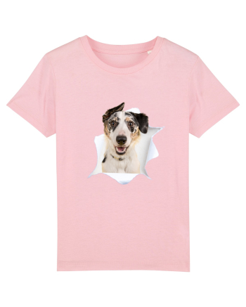 Marea evadare 2 Cotton Pink