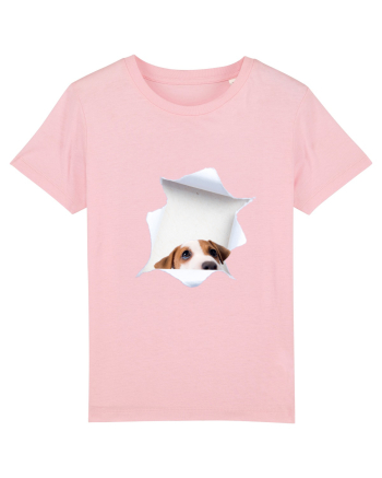 Mica evadare 1 Cotton Pink