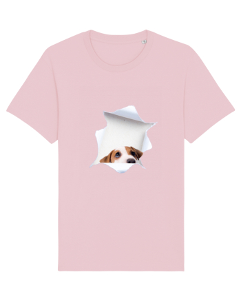 Mica evadare 1 Cotton Pink