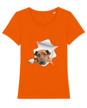 Marea evadare 4 Bright Orange
