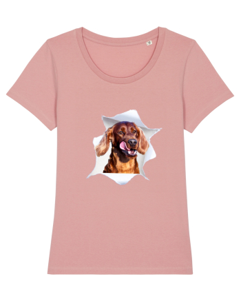 Marea evadare 6 Canyon Pink
