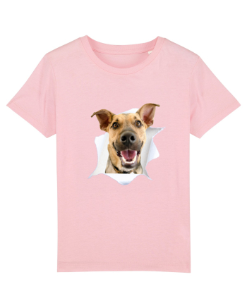 Marea evadare 9 Cotton Pink