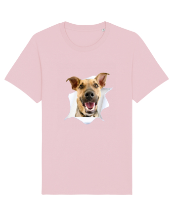 Marea evadare 9 Cotton Pink