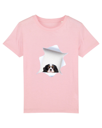Marea evadare 10 Cotton Pink