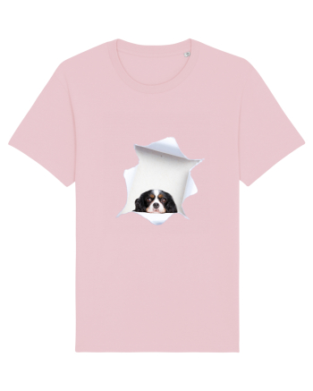 Marea evadare 10 Cotton Pink