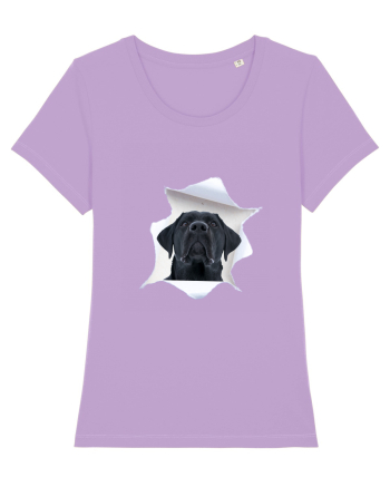 Marea evadare 12 Lavender Dawn