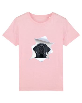 Marea evadare 12 Cotton Pink