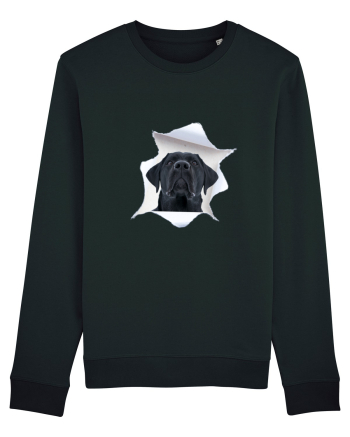 Marea evadare 12 Black