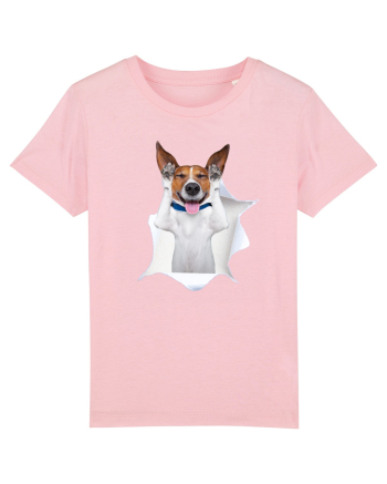 Marea evadare 14 Cotton Pink