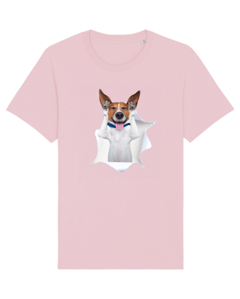 Marea evadare 14 Cotton Pink
