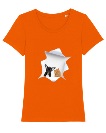 Pet friends Bright Orange