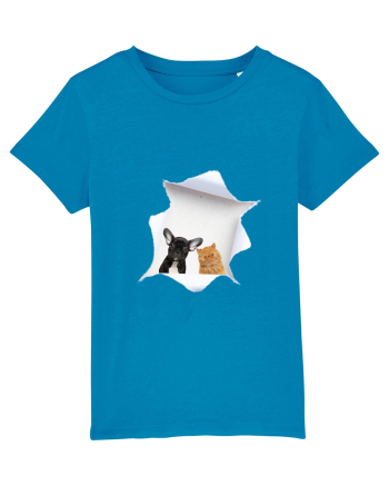 Pet friends Azur