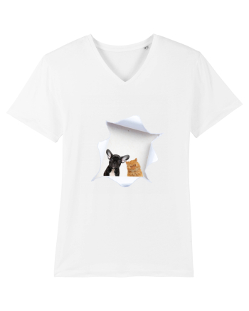 Pet friends White