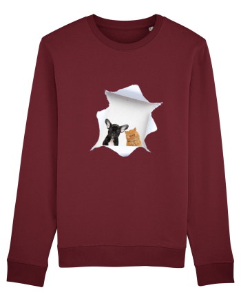 Pet friends Burgundy