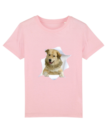 Marea evadare 20 Cotton Pink