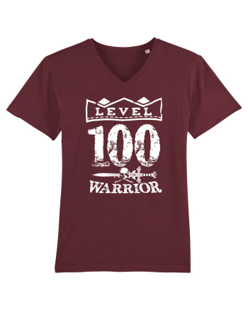 Lvl 100 warrior Burgundy