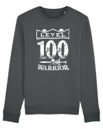 Lvl 100 warrior Bluză mânecă lungă Unisex Rise