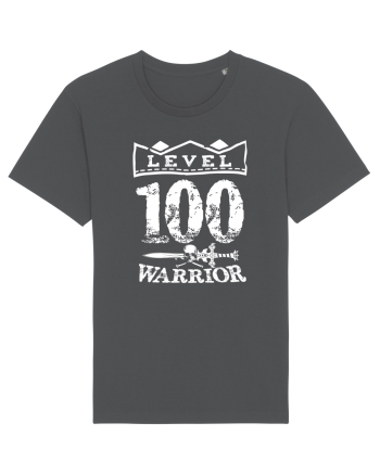 Lvl 100 warrior Anthracite
