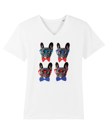 Cute dogs White