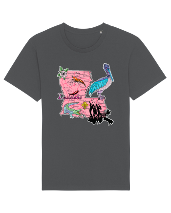 Louisiana Map Anthracite