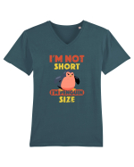 Un pinguin suparat Tricou mânecă scurtă guler V Bărbat Presenter