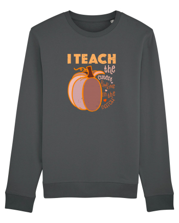Tricou de profesor Anthracite