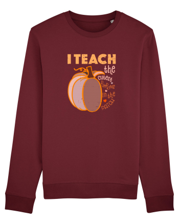 Tricou de profesor Burgundy