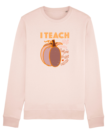 Tricou de profesor Candy Pink