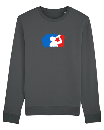 Liga Betivilor Anthracite