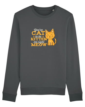 Cat Kitten Meow Anthracite