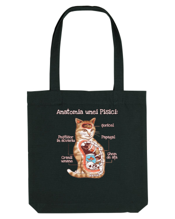 Anatomia unei pisici Black
