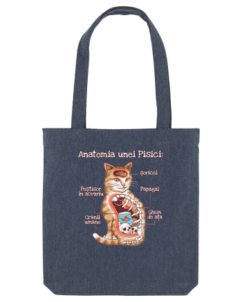 Anatomia unei pisici Midnight Blue