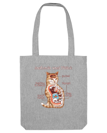 Anatomia unei pisici Heather Grey
