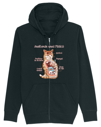 Anatomia unei pisici Black