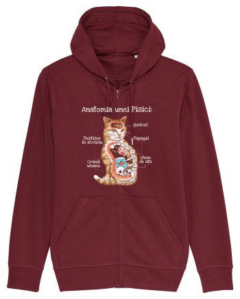 Anatomia unei pisici Burgundy