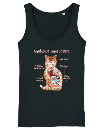Anatomia unei pisici Black
