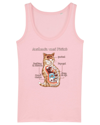 Anatomia unei pisici Cotton Pink
