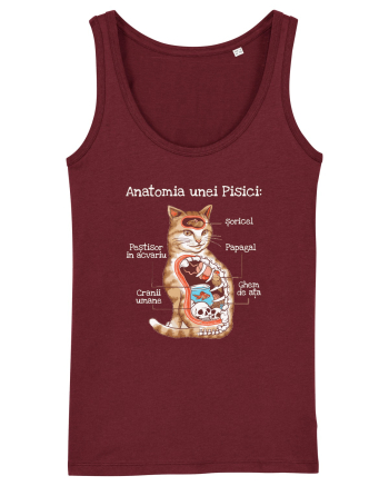 Anatomia unei pisici Burgundy