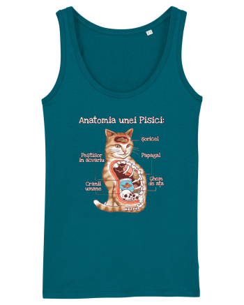 Anatomia unei pisici Ocean Depth