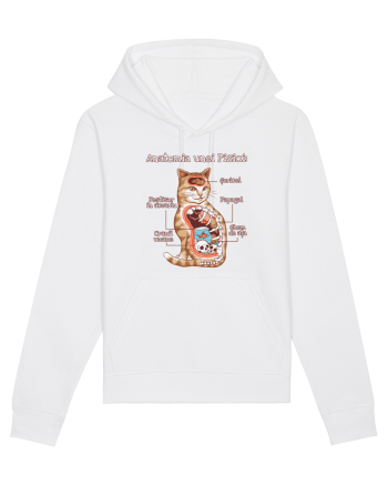 Anatomia unei pisici White