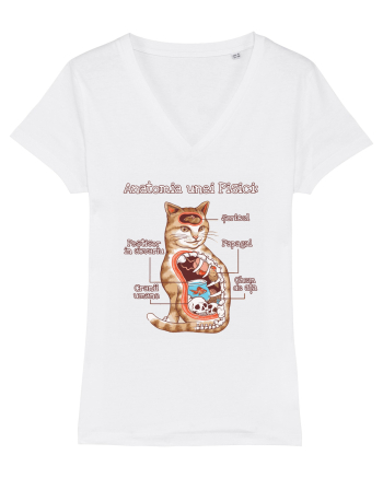 Anatomia unei pisici White
