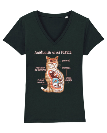 Anatomia unei pisici Black