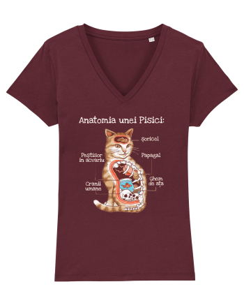 Anatomia unei pisici Burgundy