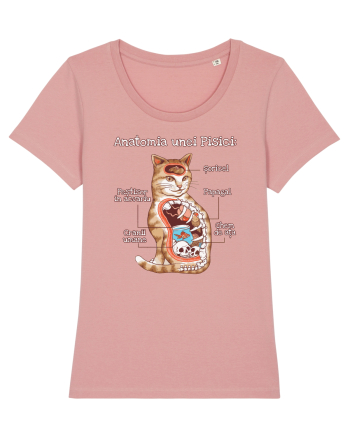 Anatomia unei pisici Canyon Pink