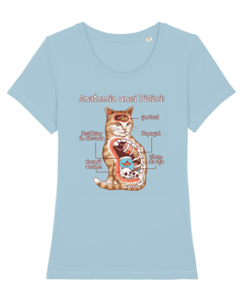 Anatomia unei pisici Sky Blue