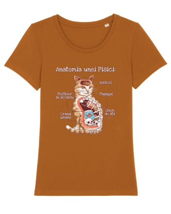 Anatomia unei pisici Roasted Orange