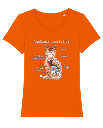 Anatomia unei pisici Bright Orange