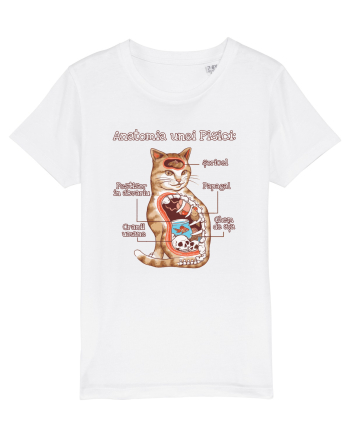 Anatomia unei pisici White